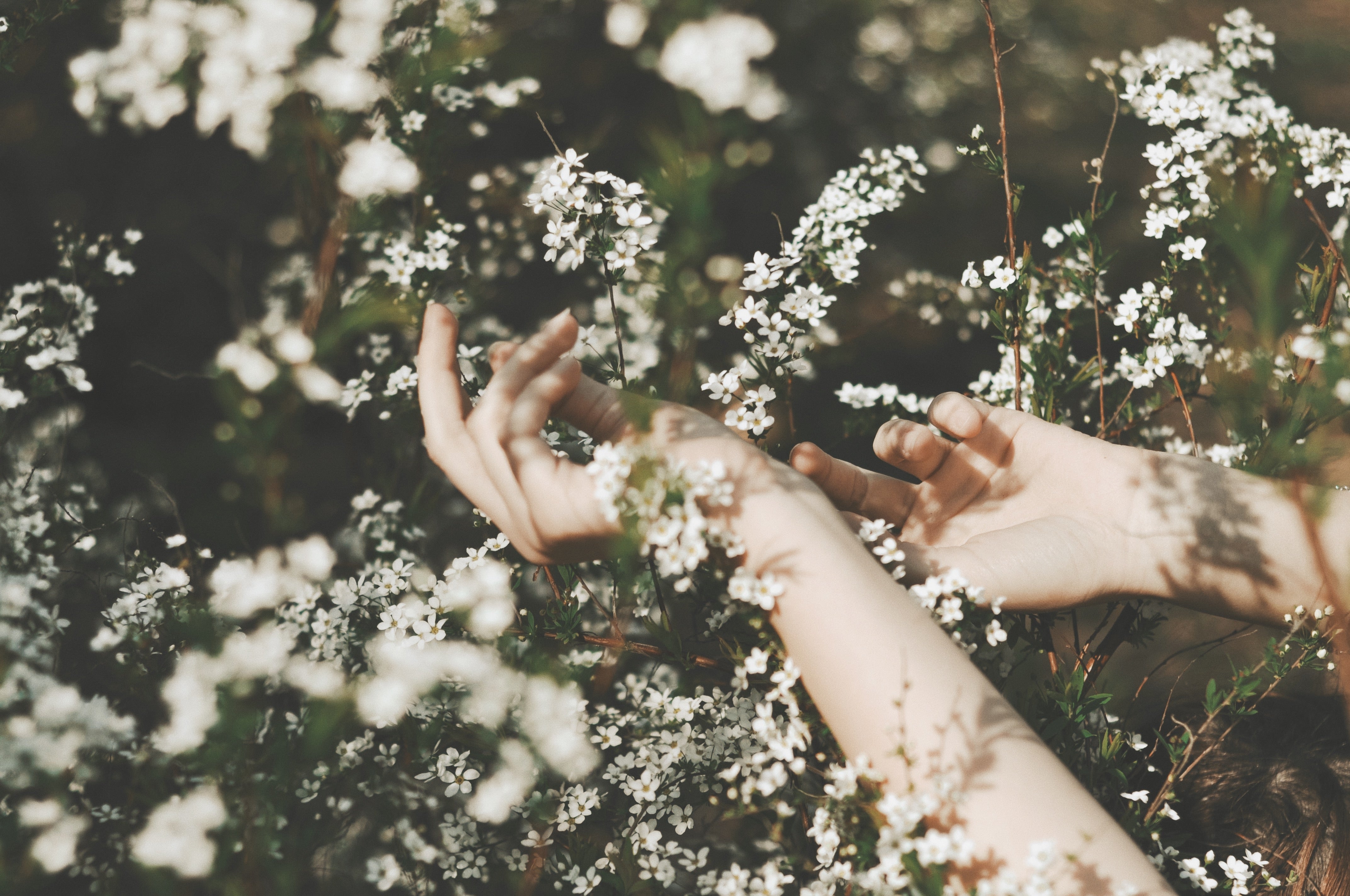 ESSENTIAL OIL BLEND (EOB)