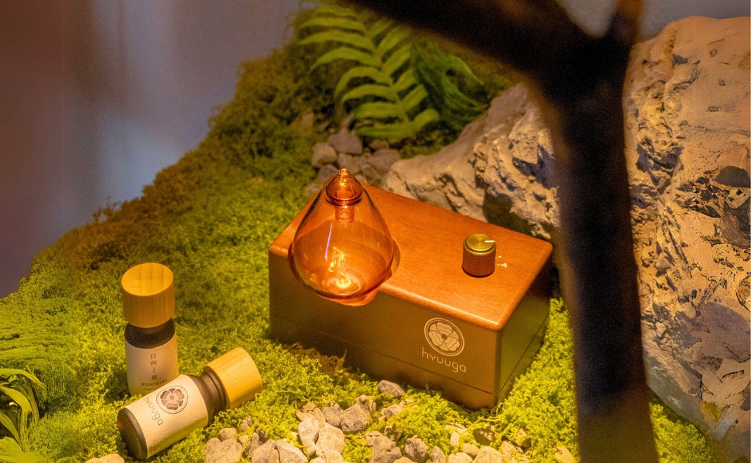 What Is Aromatherapy? A Modern Guide to Using Scent for Well-Being